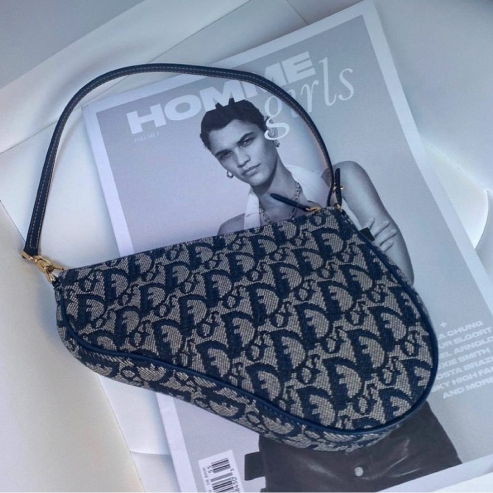 DIOR trotter saddle bag